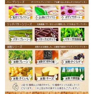 倉敷おからクッキー 個包装10種類セット(4枚...の詳細画像3