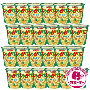 カルビー じゃがりこ サラダ 57g × 12個 じゃがバター 55g 計24個 箱