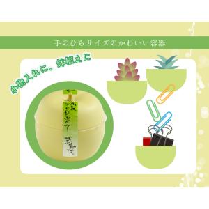 水菓子 2026 おまとめ買い おまけ1個付 ...の詳細画像5