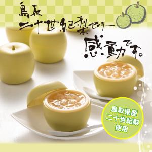 御挨拶 2026 6ヶ入 箱入 御祝 ゼリー 水菓子 ギフト お取り寄せスイーツ プレゼント 梨 鳥取二十世紀梨ゼリー感動です。寿製菓 鳥取 お土産 御礼 内祝