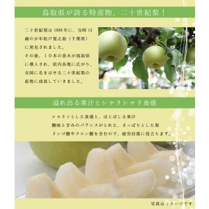 御挨拶 2026 4個入 ゼリー ギフト 果物...の詳細画像3