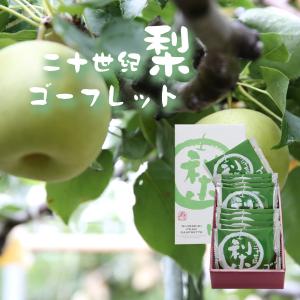 二十世紀梨 ゴーフレット 10枚入 お土産 定...の詳細画像1