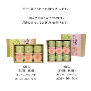 御礼 2026 梨と桃のゼリー 合計9個入 二...の詳細画像5