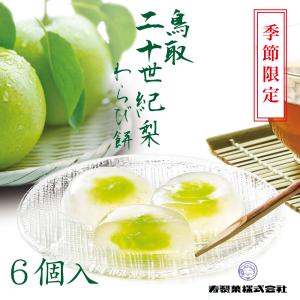 わらび餅 和菓子 2026 6個入 個包装 鳥取二十世紀梨 ギフト 手土産 職場 鳥取 梨 御挨拶 母の日 お中元