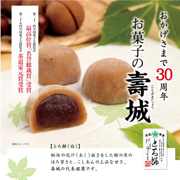 お歳暮 2025 とち餅 名誉総裁賞 12ヶ入 御礼品 和菓子 お菓子の壽城 贈答 手土産 お菓子 ...