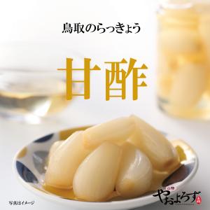 漬物 鳥取 らっきょう 甘酢 120g 鳥取 寿製菓 山陰 やおよろず本舗 山陰 お土産 おかず ご飯のお供 らっきょう