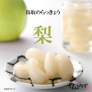 漬物 鳥取 らっきょう 梨 120g 鳥取 寿製菓 山陰 やおよろず本舗 山陰 鳥取 お土産 おかず ご飯のお供 らっきょう