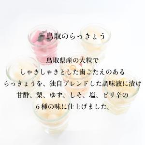 漬物 鳥取 らっきょう 梨 120g 鳥取 寿...の詳細画像2