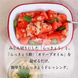 漬物 鳥取 らっきょう 梨 120g 鳥取 寿...の詳細画像3