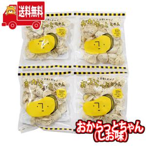 お菓子 詰め合わせ グルテンフリー おからっとちゃん しお味 おかしのマーチ 地域限定 おから 大豆 ヘルシー スナック菓子