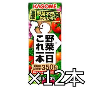 カゴメ 野菜一日これ一本 200ml x 12本 (4901306047569h)