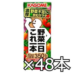 カゴメ 野菜一日これ一本 200ml x 48本（2ケース） (4901306047569w)