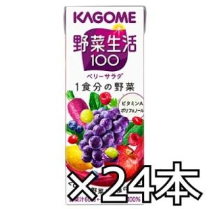 カンロ 魔性の塩キャラメルキャンディ 65g（個装紙込み） 6コ入り 2024