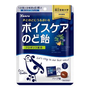 カンロ ボイスケアのど飴 70g 6コ入り 2022/09/05発売