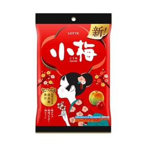 よっちゃん　2本セット Amazon | トヨックス 横水栓(大口径)用 スーパーカセットL 蛇口