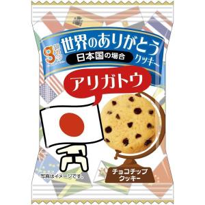 銀の汐 ダディのチョコチップクッキー 40g 100コ入り (4962407047070c