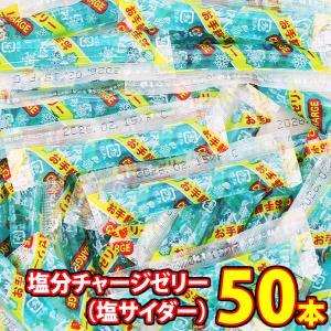 ゼネコンがつくったしおゼリー ミックス 1kg：約100本 : eight cat