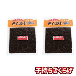 ネスカフェ ドルチェグスト 専用カプセル 宇治抹茶 16P×3箱ポッド