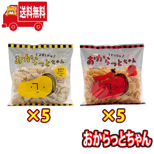 お菓子 詰め合わせ 島根県産大東農産加工場 おからっとちゃん 2種 詰め合わせ セット（計10個）地...