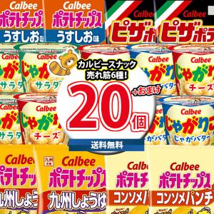 お菓子 詰め合わせ カルビースナック売れ筋6種特選20個(じゃがりこ6コ
