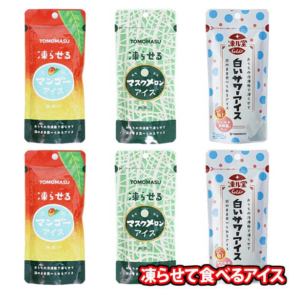 お菓子 詰め合わせ 友桝飲料 凍らせて食べるアイス 詰め合わせ【3種・計6コ】（マンゴー・メロン・白...