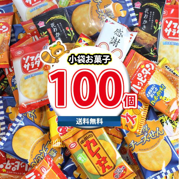 お菓子 詰め合わせ 亀田製菓・ヤスイフーズ・銀の汐 小分け 小袋 個包装 10種類 合計100個 詰...