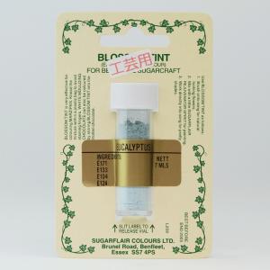 SugarFlair ダスティングカラー EUCALYPTUS ユーカリプタス ＃26 シュガークラフト（工芸用色素）｜okashinomori