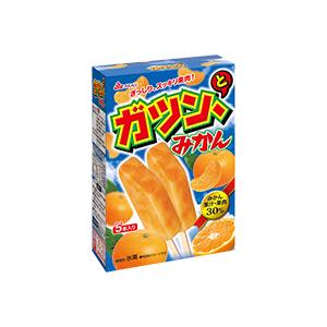 ガツンとみかんマルチパック ７箱入り 赤城乳業