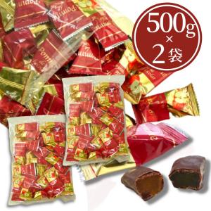 りんごチョコレート 日本チョコレート 500g×...の商品画像
