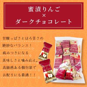 りんごチョコレート 日本チョコレート 500g...の詳細画像1