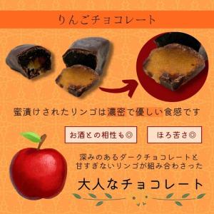 りんごチョコレート 日本チョコレート 500g...の詳細画像2