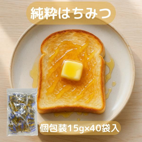 純粋はちみつ 個包装タイプ 使い切り便利 無添加 15g×40個 ファミリーパック 給食用