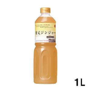 日の出 養父ジンジャー 1L 但馬醸造所 日本料理 国産しょうが マロニエ蜂蜜 ジンジャエール