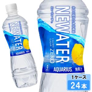 アクエリアス 500ml 24本 （24本×1ケース） PET アクエリ スポーツ飲料