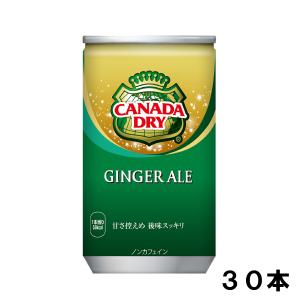 カナダドライ ジンジャーエール 160ml 30本 （30本×1ケース）  炭酸飲料 ミニ缶 安心のメーカー直送