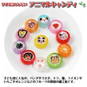 動物のかわいい組飴 アニマルキャンディぷち タ...の詳細画像4