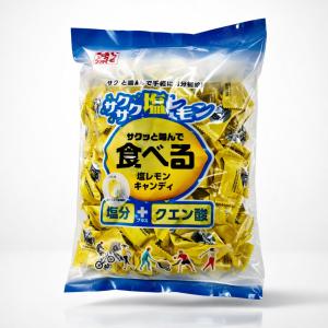 カワイ肝油ドロップ カワイビタミンECドロップ 180粒【宅配便