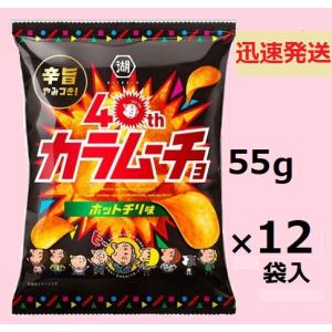 湖池屋（コイケヤ） ポテトチップス Largeサイズ 3種各4袋セット （計