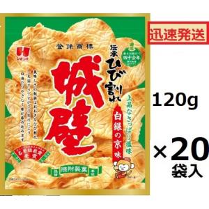ひざつき製菓 無選別城壁白銀の京 塩味 (こわれあり) 120g×20袋入 ※お届けまで一週間程度か...