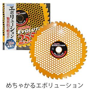 めちゃかるスーパー林童チップソー 255mm × 40P 10インチ【刈払機用