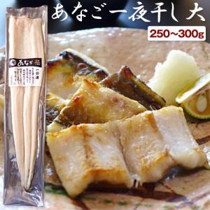 穴子一夜干し 母の日 ギフト 無添加 あなご一夜干し