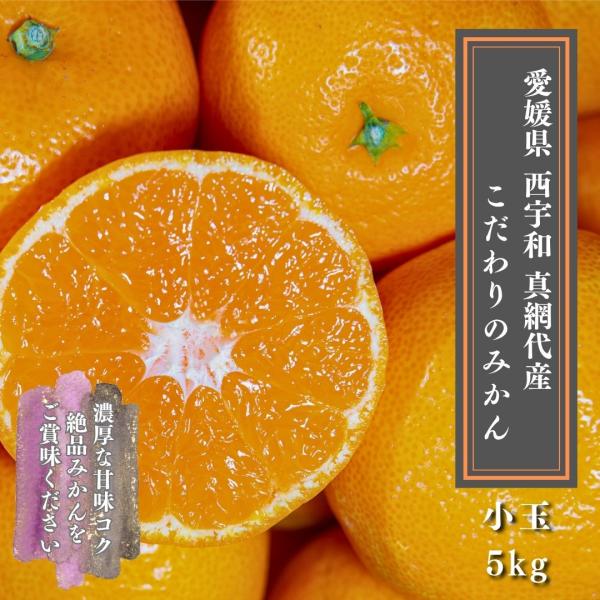 愛媛みかん こだわりの西宇和 真網代産　美味しい甘い【小玉】　ちょっと訳ありご家庭用　５ｋｇ　送料無...