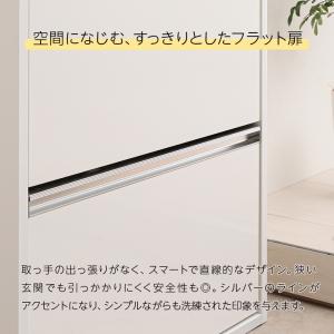 完成品 シューズボックス スリム シューズBO...の詳細画像3