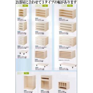 クローゼット 収納 幅100 ワードローブ 取...の詳細画像2