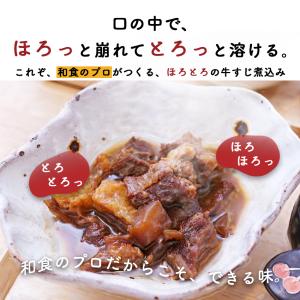 ポッキリ 1000円 送料無料 お惣菜 レトル...の詳細画像2