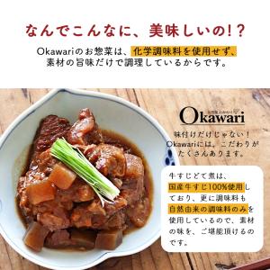 ポッキリ 1000円 送料無料 お惣菜 レトル...の詳細画像3