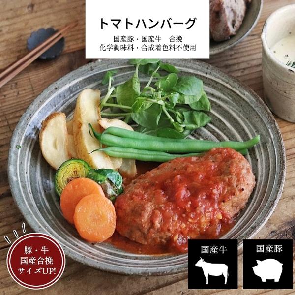 お惣菜 冷凍食品 冷凍 惣菜 無添加 総菜 おかず 宅配 食品 温めるだけ お取り寄せグルメ ハンバ...