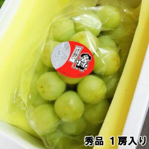 桃太郎ぶどう or 瀬戸ジャイアンツ 岡山県産・香川県産 秀品 １房 約700g 贈答用 ギフト 品種指定不可 送料込み