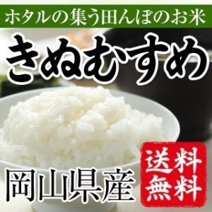 ほたるの集う田んぼのお米　岡山県産きぬむすめ（白米）2kg(お試し） 送料無料(一部地域を除く)