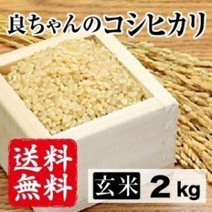 令和3年産生産者特定米　良ちゃんのコシヒカリ（玄米）お試し2kg 　送料無料(一部地域を除く)｜okayamaumaimono